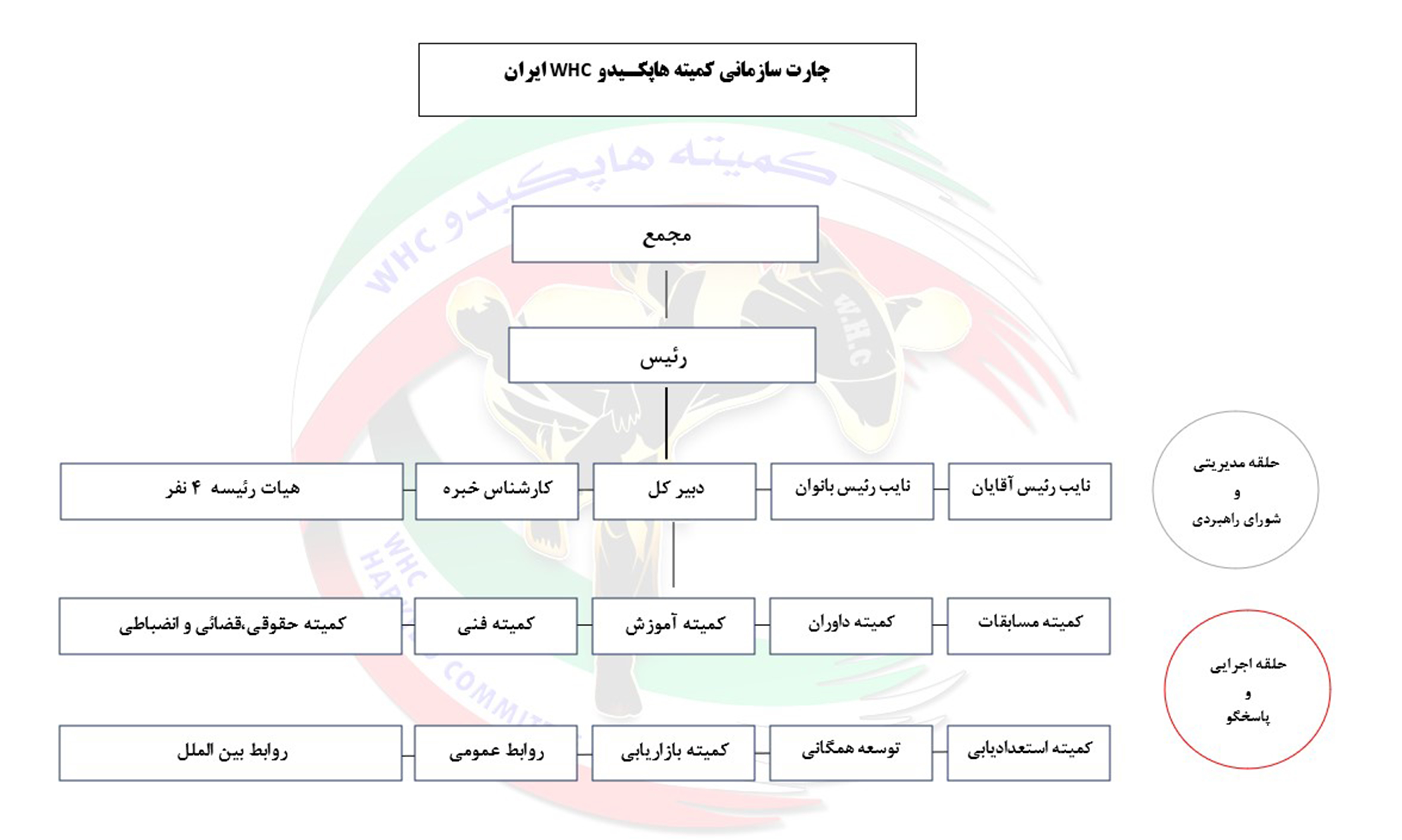 چارت سازمانی